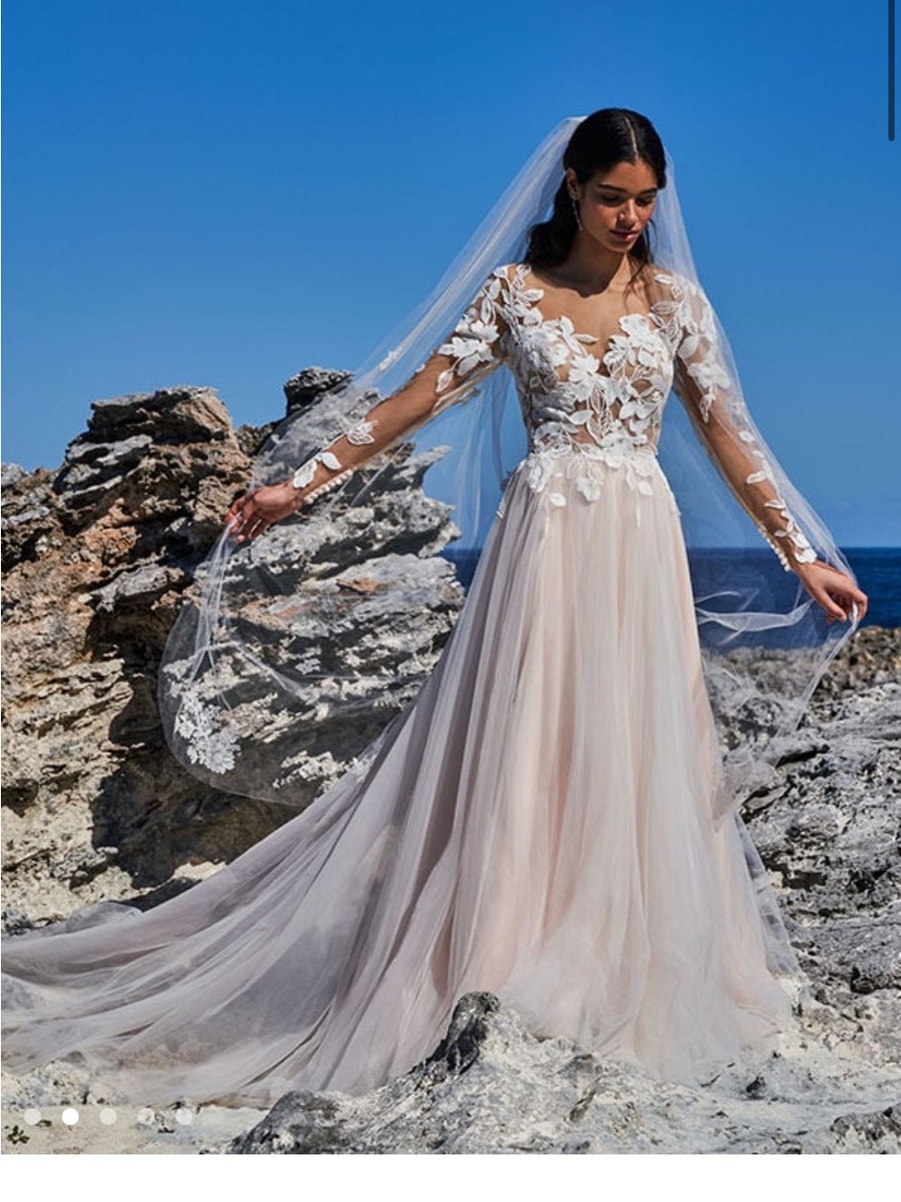 Champagne Sheer Lace Appliqué Bridal Gown in Blush Champagne